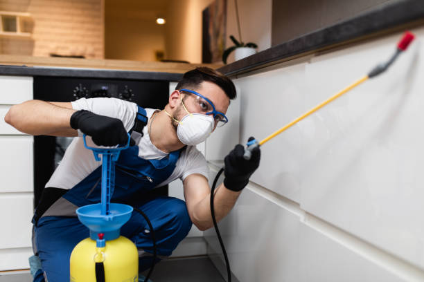 Professional Pest Control in Ligonier, IN