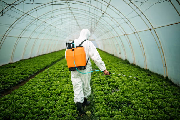 Best Affordable Exterminators  in Ligonier, IN
