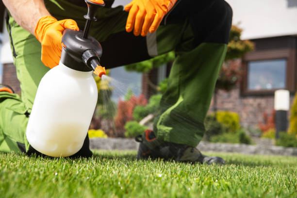 Best Mosquito Control Services  in Ligonier, IN