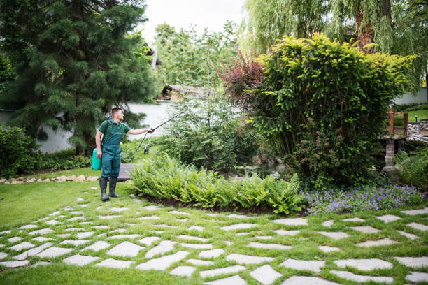 Best Affordable Pest Control Services  in Ligonier, IN