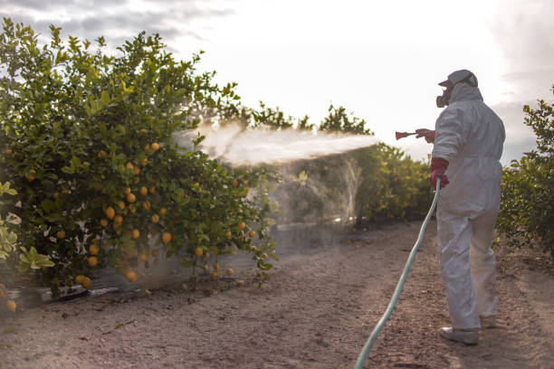 Best Pest Control Near Me  in Ligonier, IN