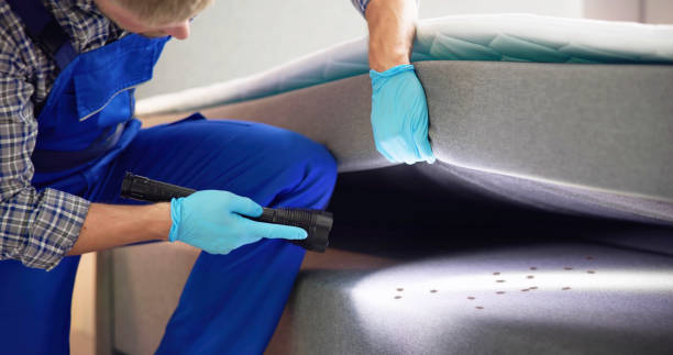 Best Residential Pest Control  in Ligonier, IN
