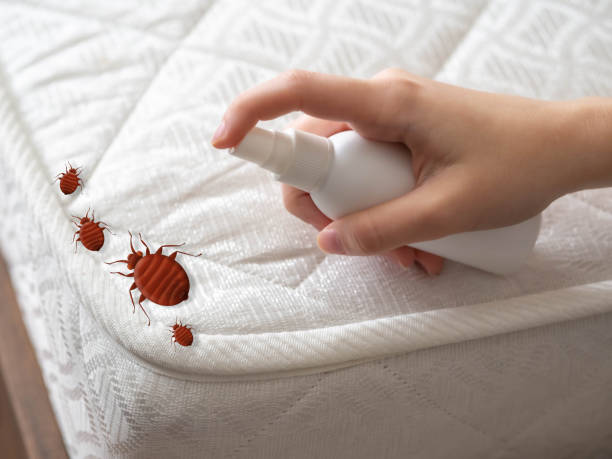 Best Pest Control Near Me in Ligonier, IN