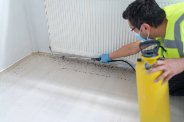 Best Pest Prevention Services  in Ligonier, IN